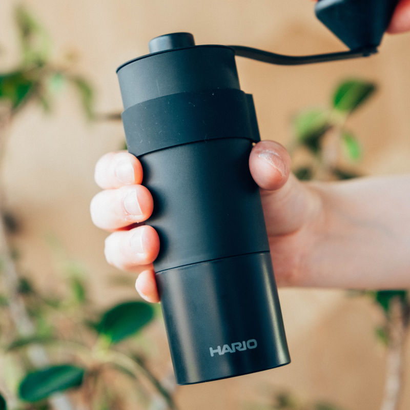 Stainless Steel Coffee Grinder Mini Black Pro